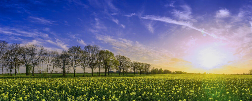 どんとこい北海道物産展